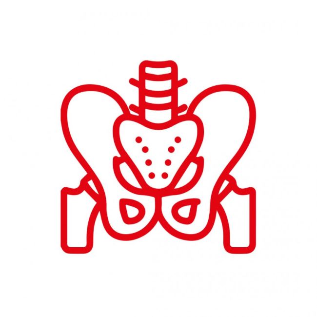 Fisioteràpia de sòl pèlvic