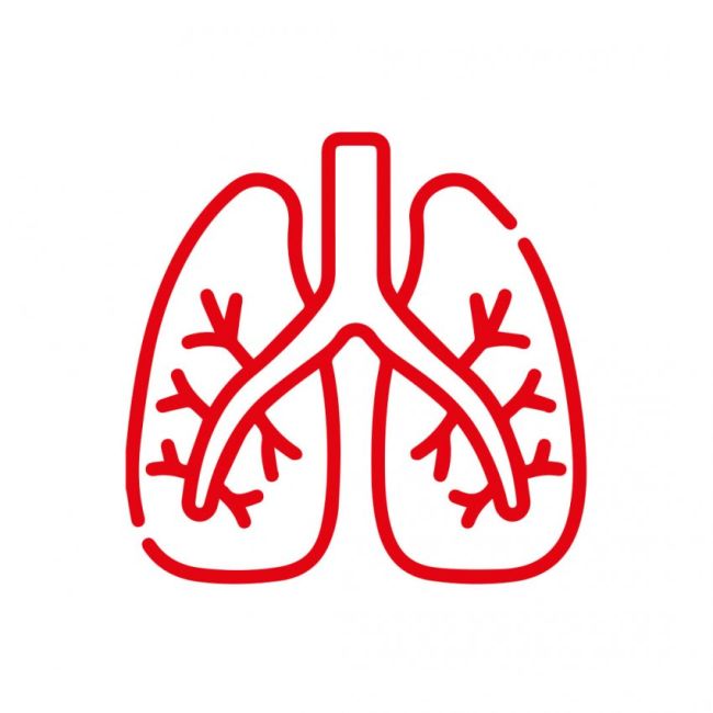 Fisioteràpia respiratòria