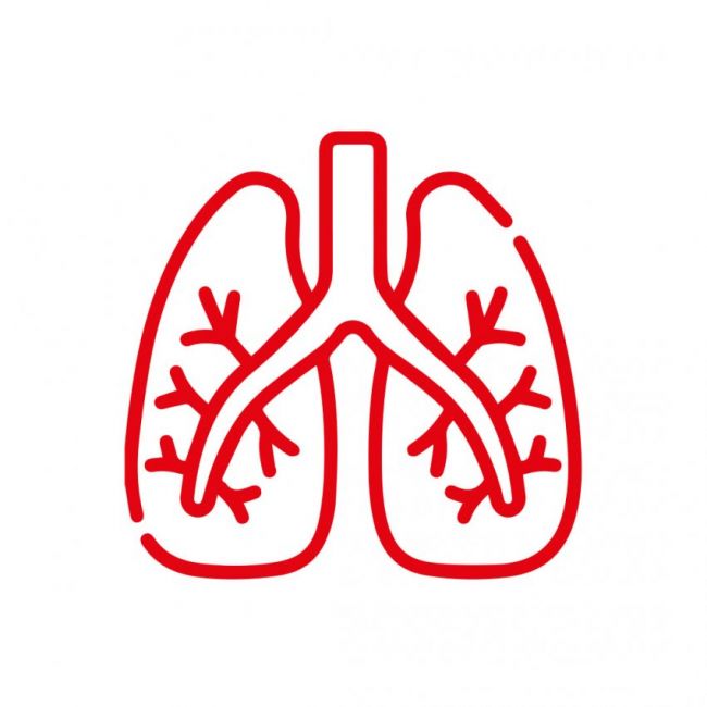 Fisioteràpia respiratòria