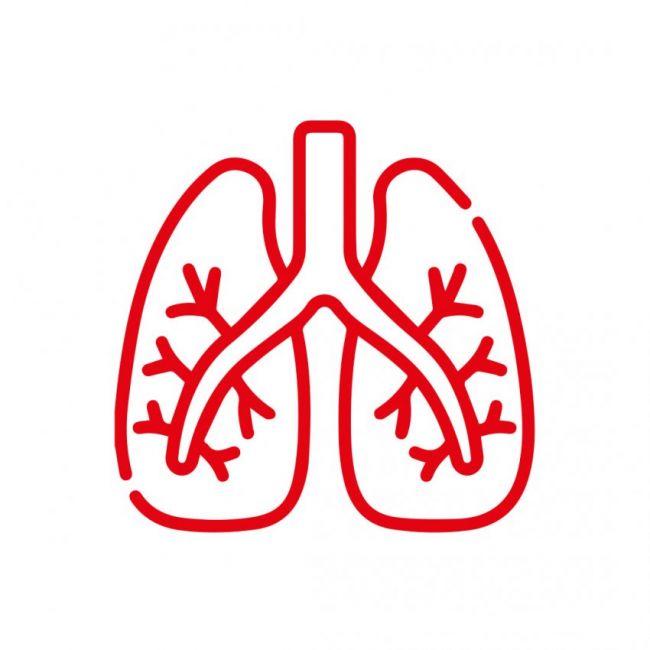 Fisioterapia respiratoria